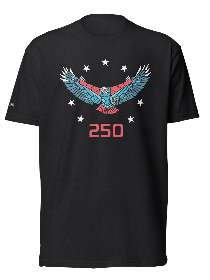 250 SPIRIT EAGLE product image (2)