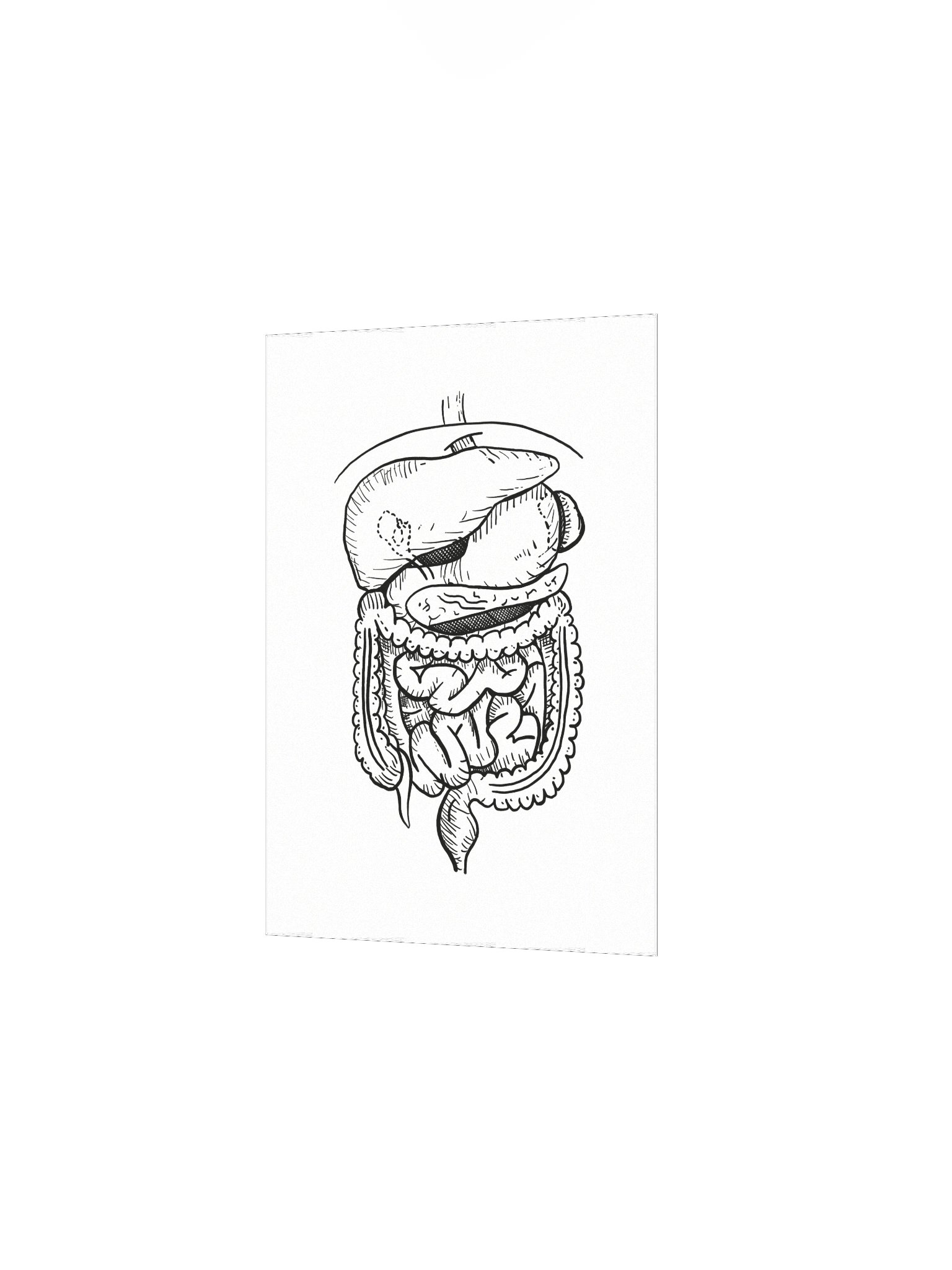 GI Tract Matte Poster product image (7)