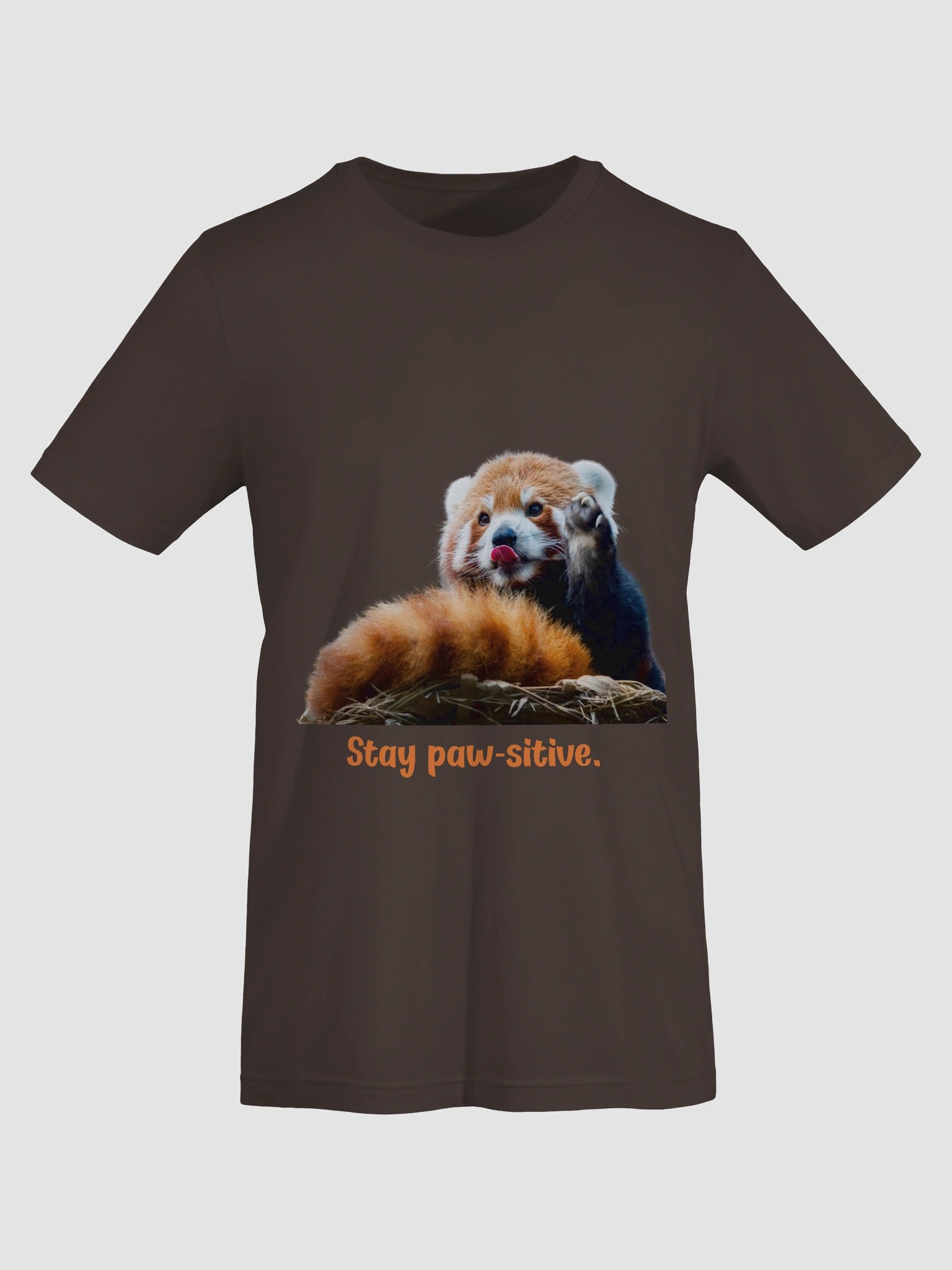 Stay Paw-sitive- Red Panda T-Shirt product image (4)