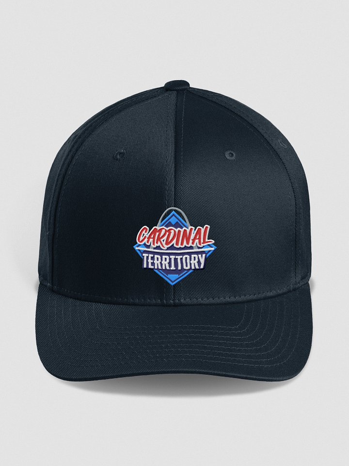 Fitted Hat product image (1)