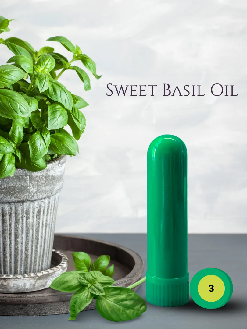 Olfaria Herbs Odor Training Kit | 5 Single-Note Essential Oils | Scent Education | Train Your Nose product image (4)
