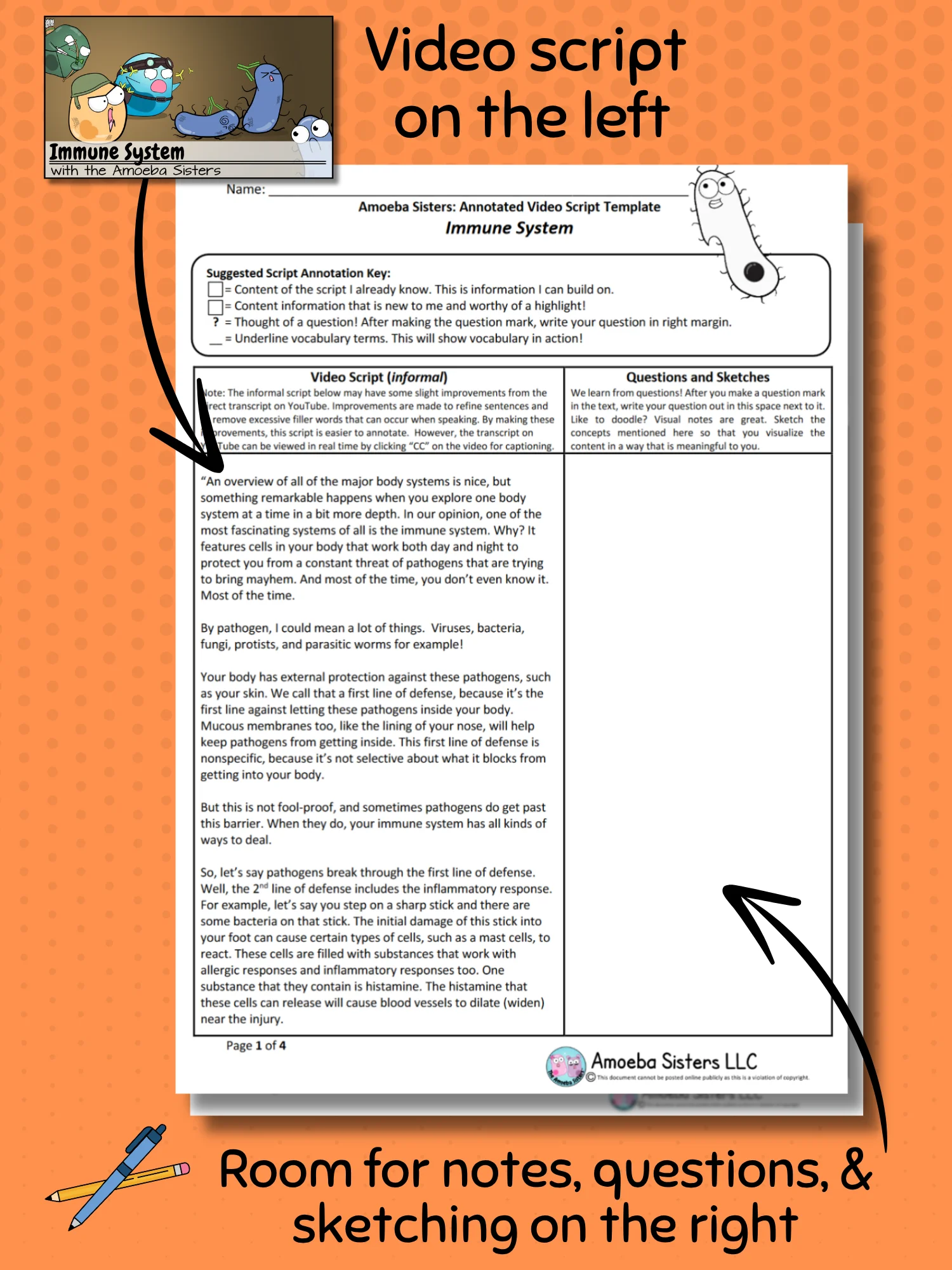 Amoeba Sisters Immune System Annotated Video Script Template PDF product image (2)