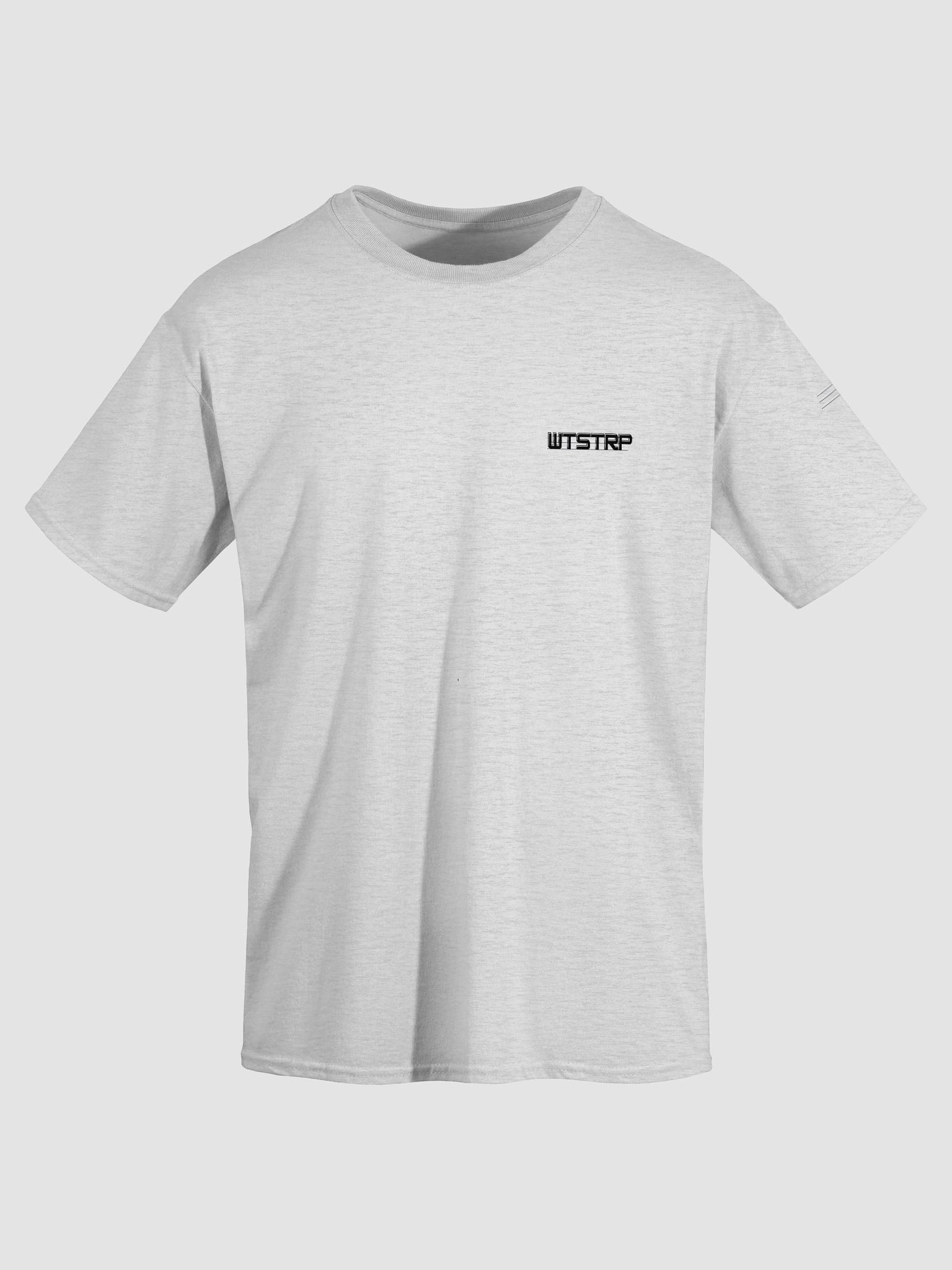 WS-ASH TEE product image (3)