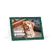 Holiday card - Dog