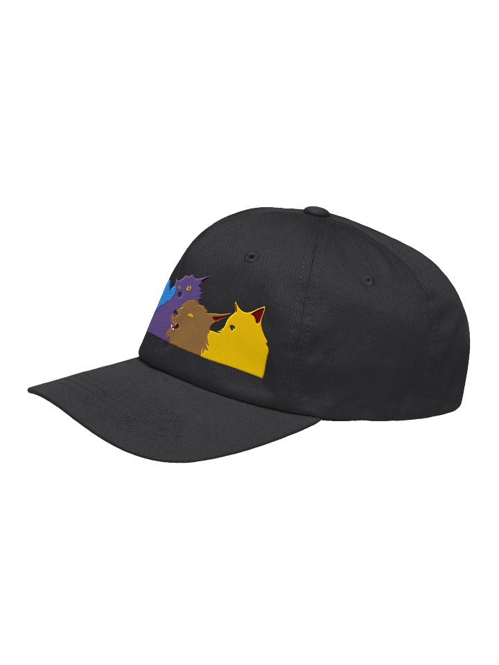 Hat product image (2)