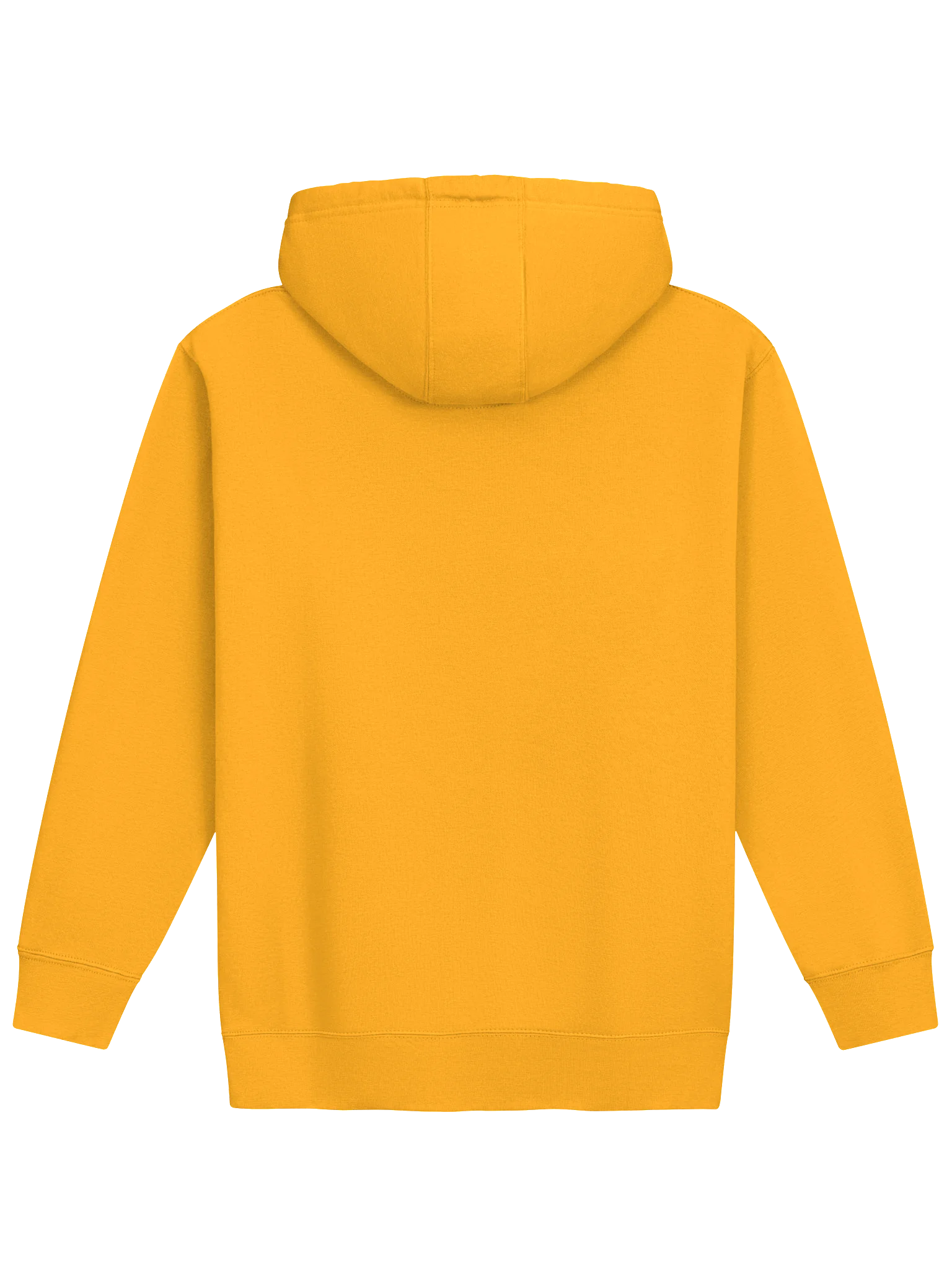 Make Brazil Great Again – Flávio Bolsonaro 22 Hoodie product image (10)