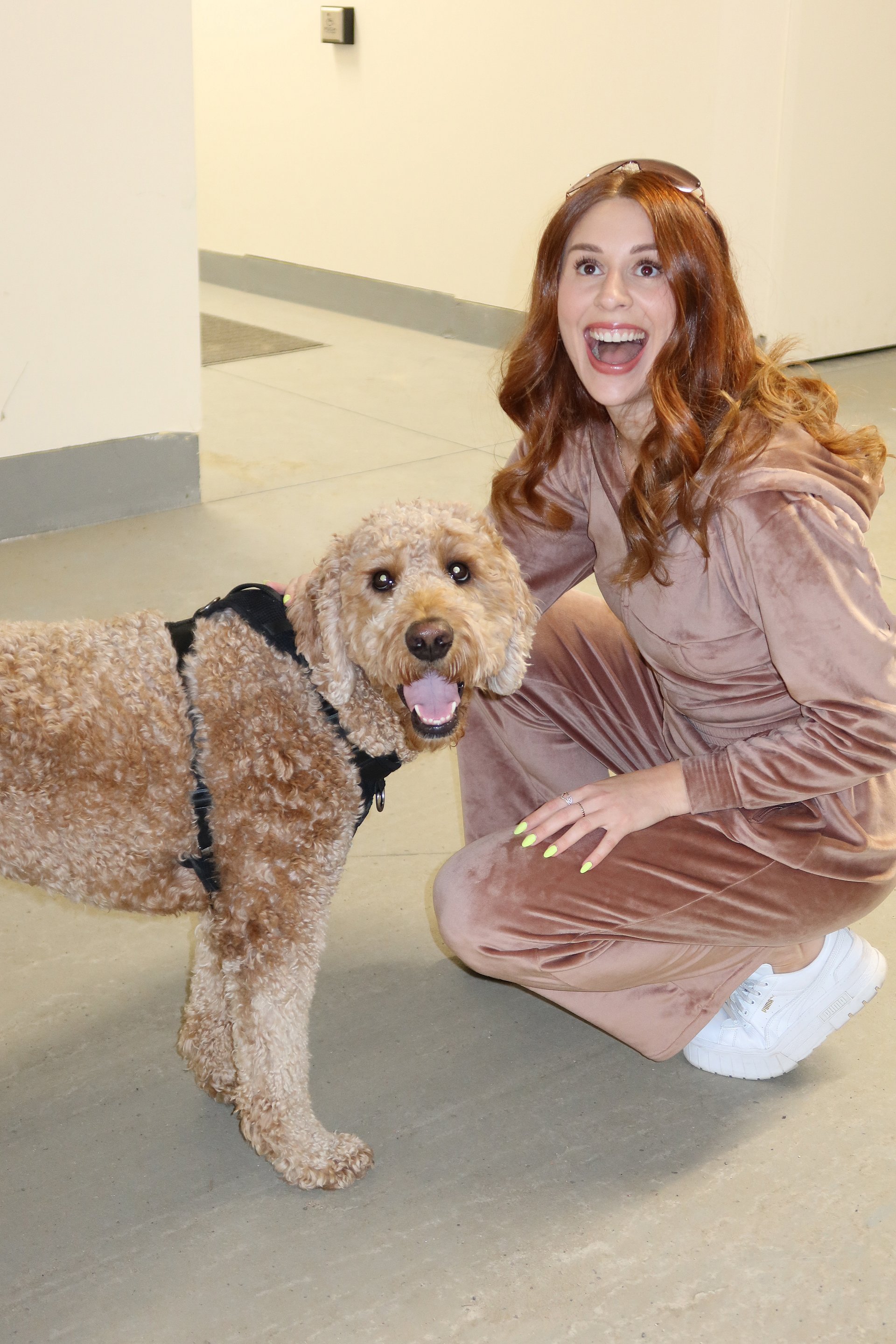 Petty Couture Velour Track Pants product image (9)