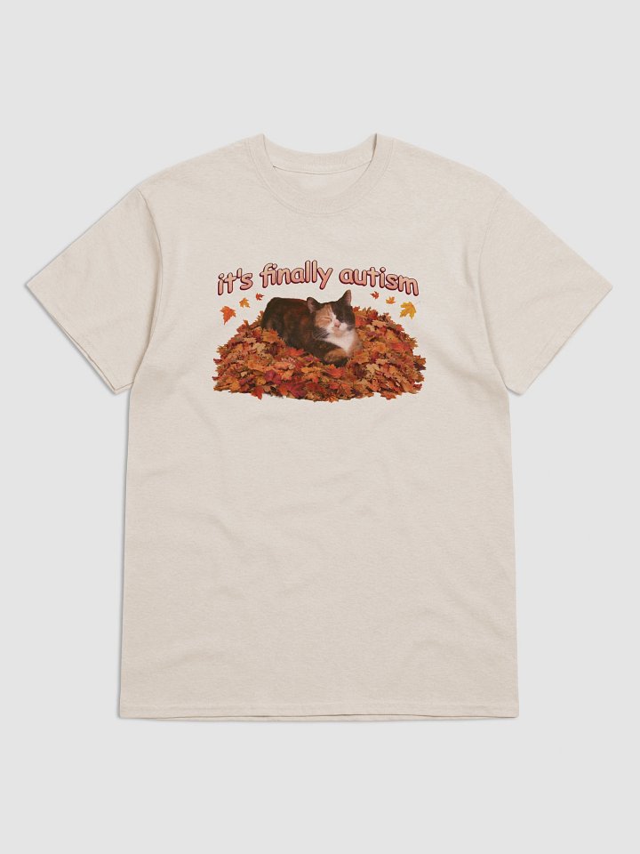 It's Finally Autism Autumn Cat T-shirt product image (1)
