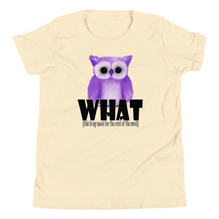 Youth Short Sleeve T-Shirt - Bella+Canvas product image (12)