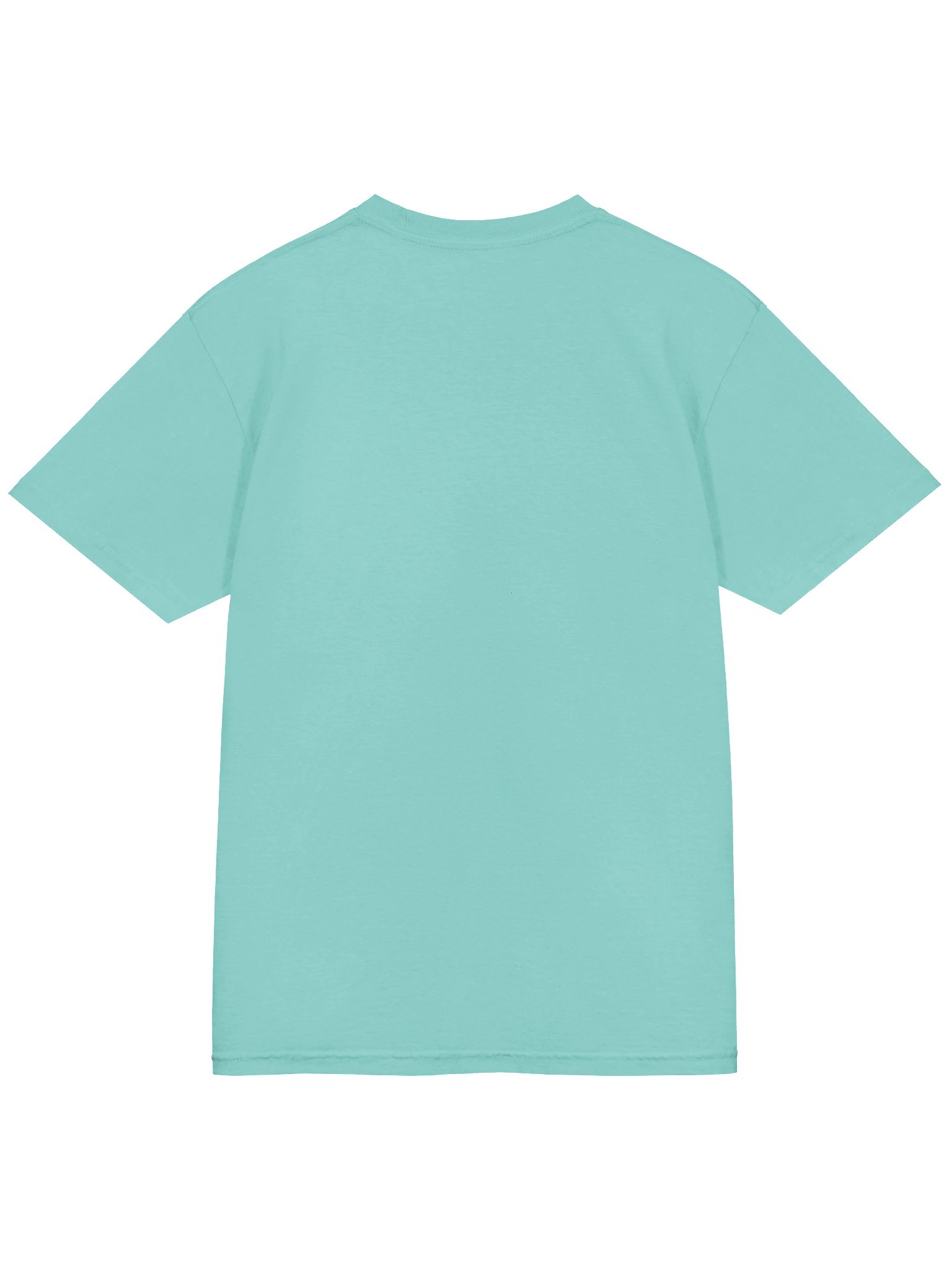 SPOOKY CAT BIRD DOG T-Shirt product image (23)