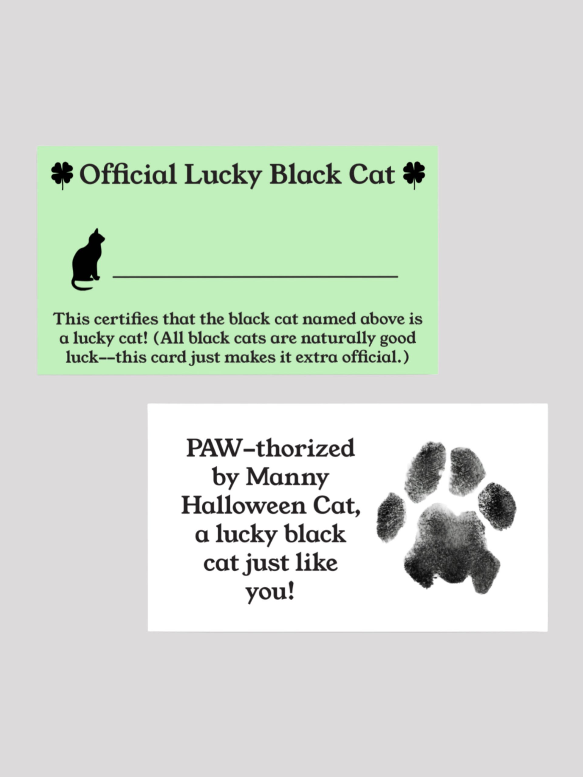 Official Lucky Black Cat card product image (2)