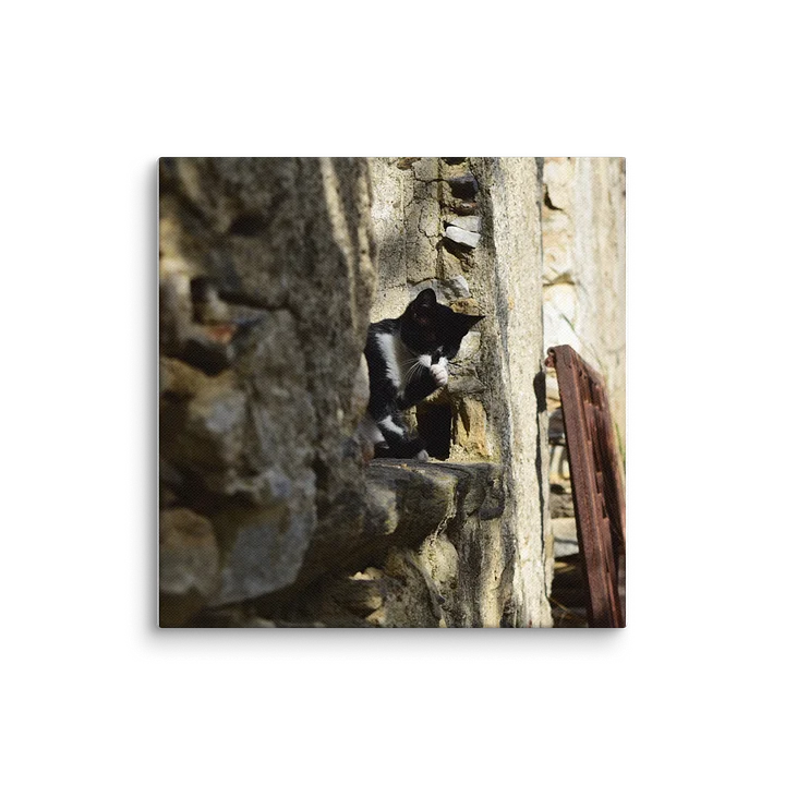 Island cat product image (1)