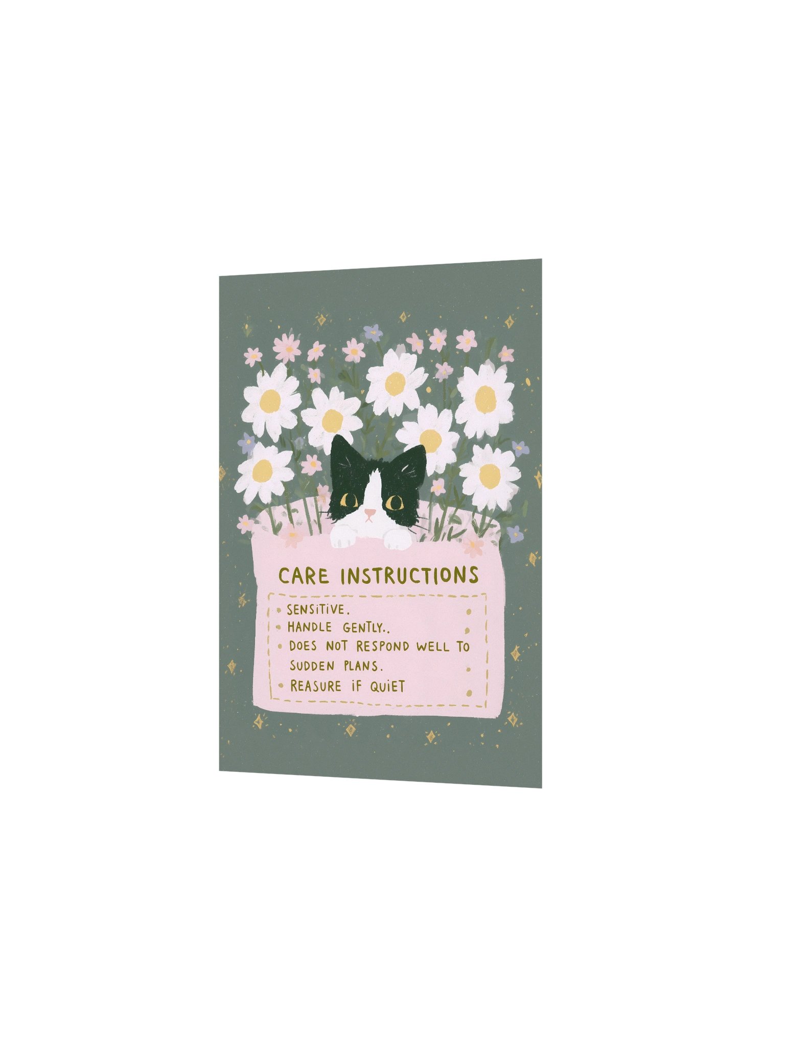 Sensitive Cat Care Instructions Poster product image (10)