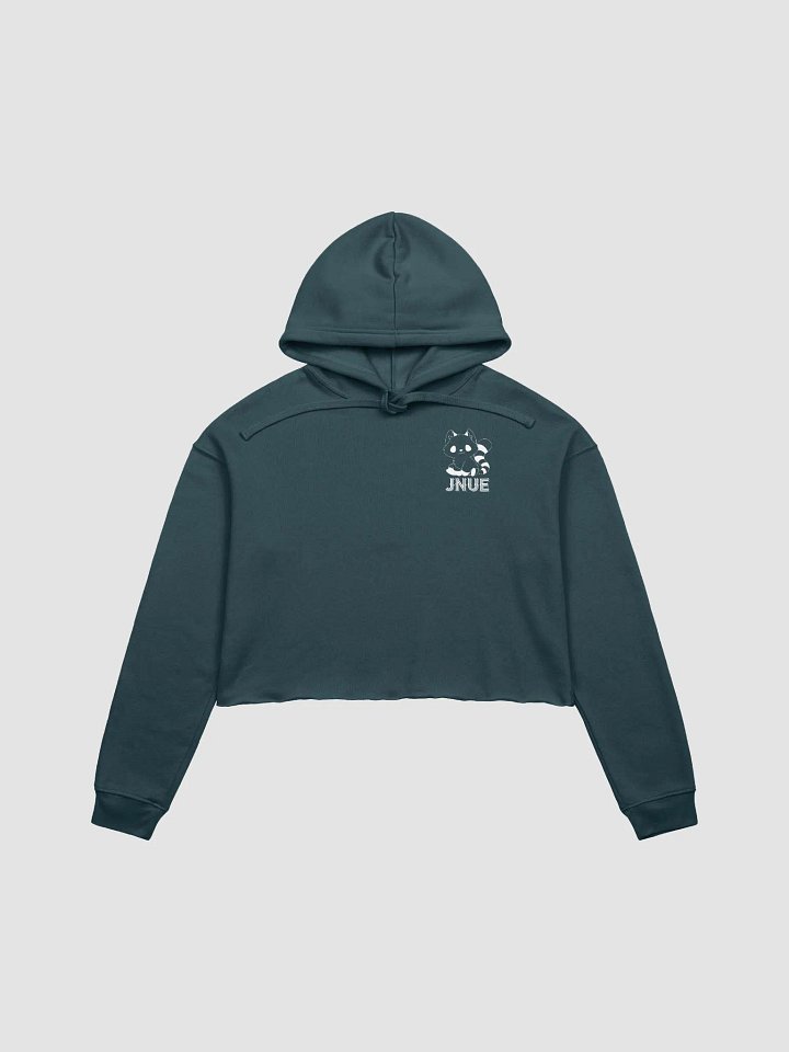 Crop Top Hoodie product image (1)