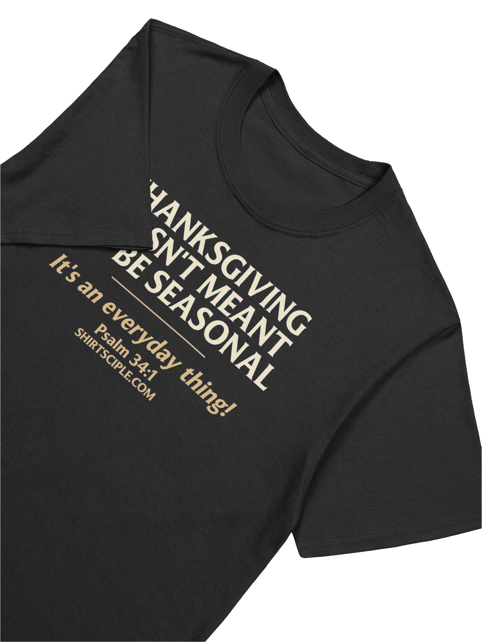 Thanksgiving Wasn't Meant To Be Seasonal T-Shirt product image (3)