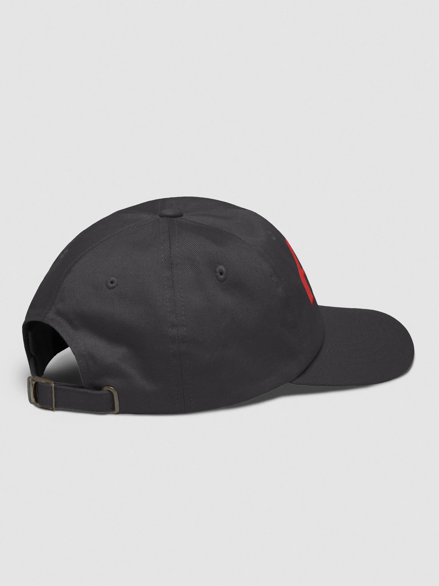 AER Dad Hat product image (4)