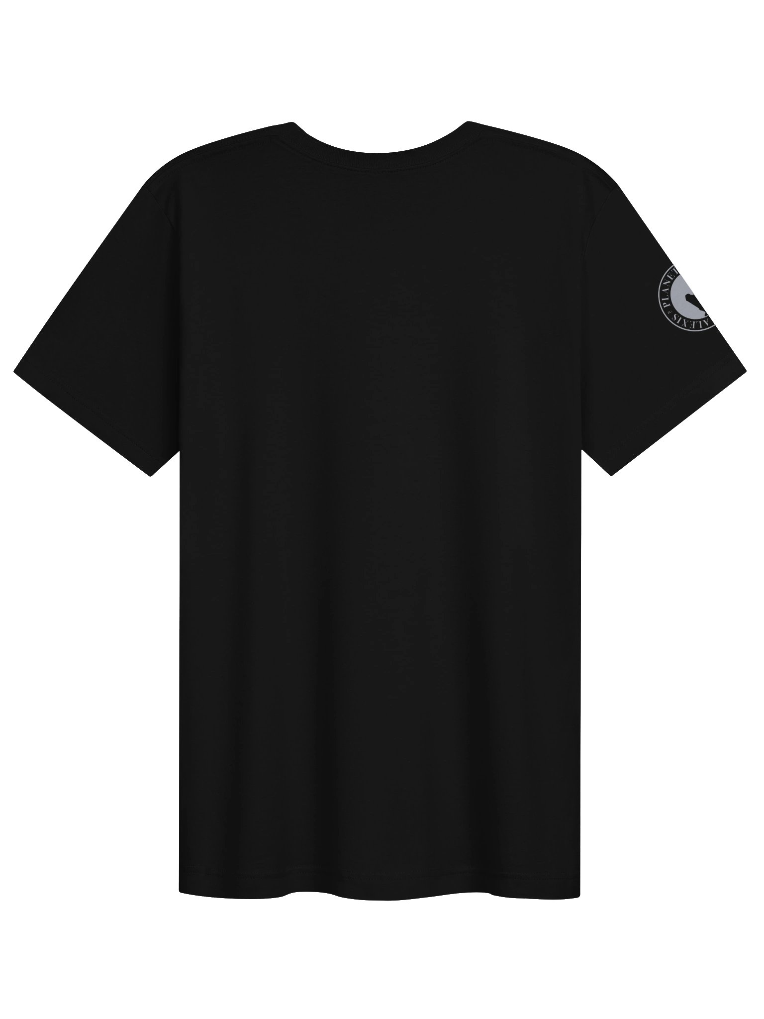 Planet Alexis Circle Emblem Tee product image (2)