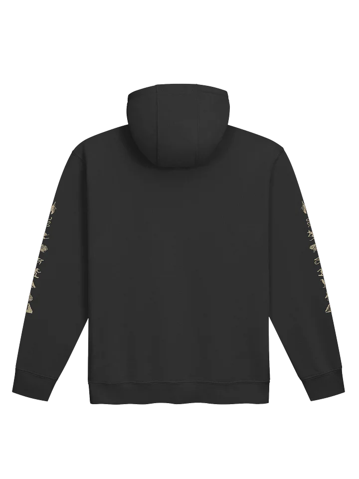 Hieroglyph Hoodie product image (2)