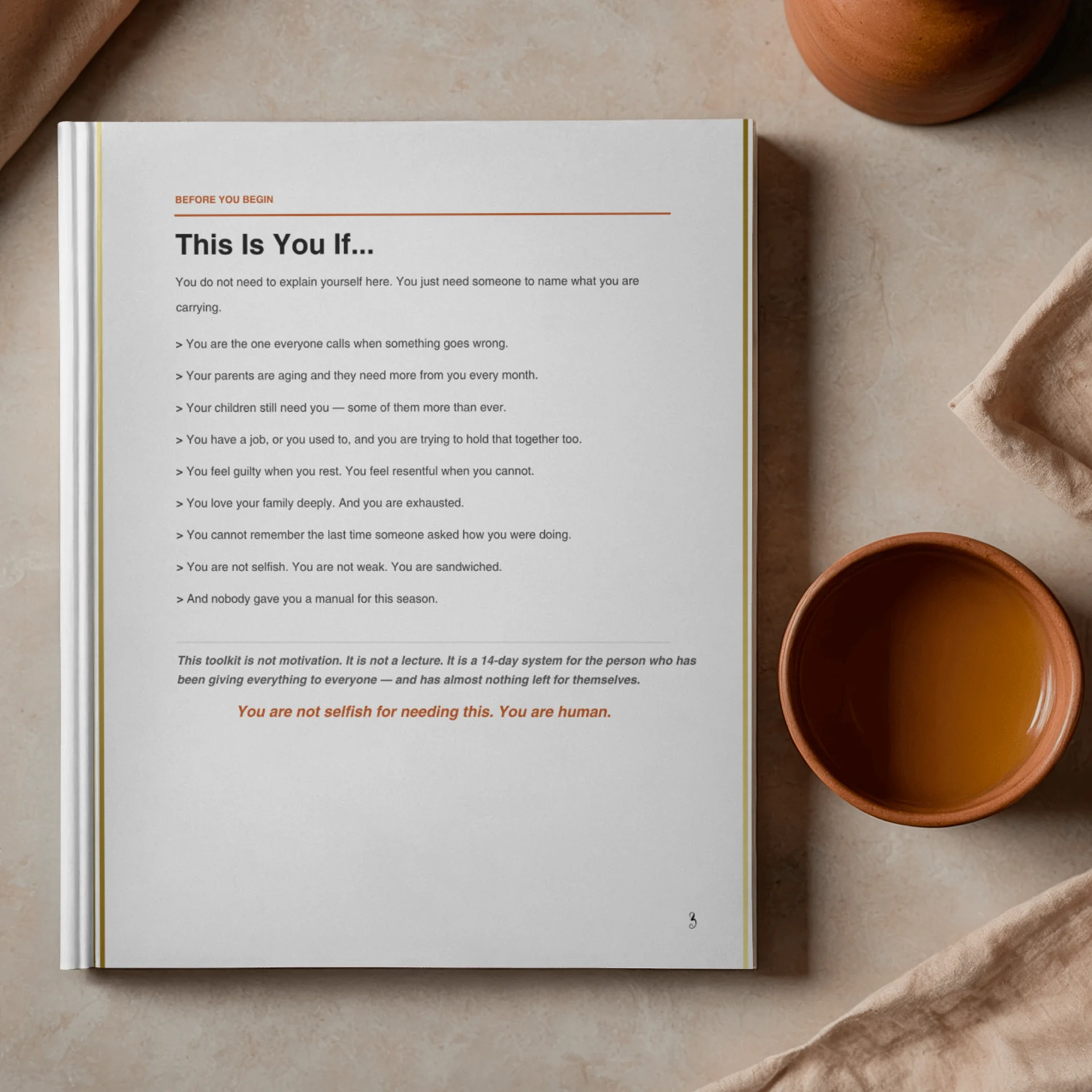 The Sandwich Generation Reset — A 14-Day Survival System product image (5)