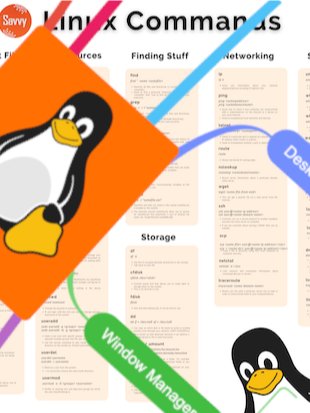 Learn Linux Bundle. Everything Included! product image (1)