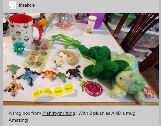 Frog Junk Box product image (2)