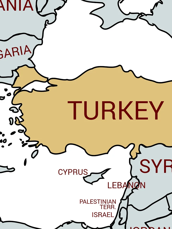 Risk Snapshot - Turkey product image (1)