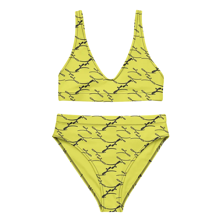 Satin Daisy | High Waisted Bikini product image (2)