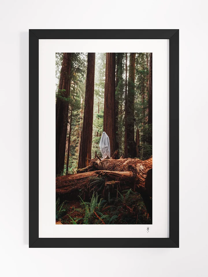 "Ghost in the Forest" - Framed Print product image (1)