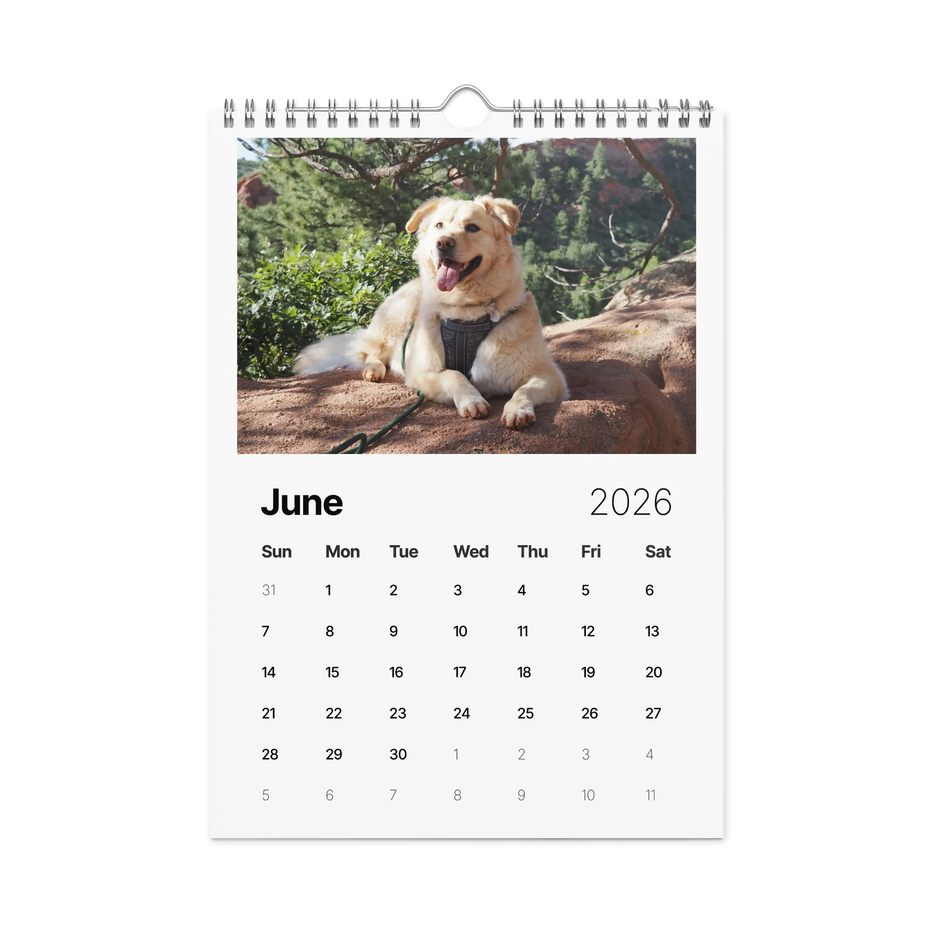 Milo's Life 2026 Wall Calendar product image (4)
