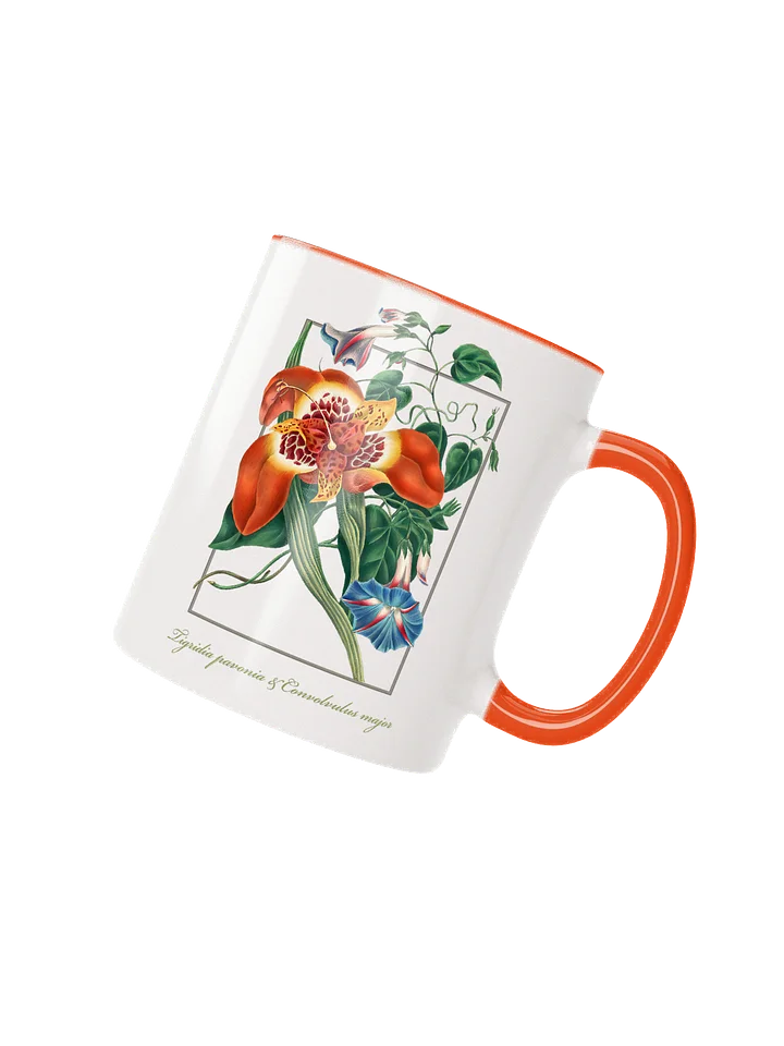 Mexican Tiger-flower, (Tigridia pavonia), and blue Convolvulus major - Ceramic mug product image (2)