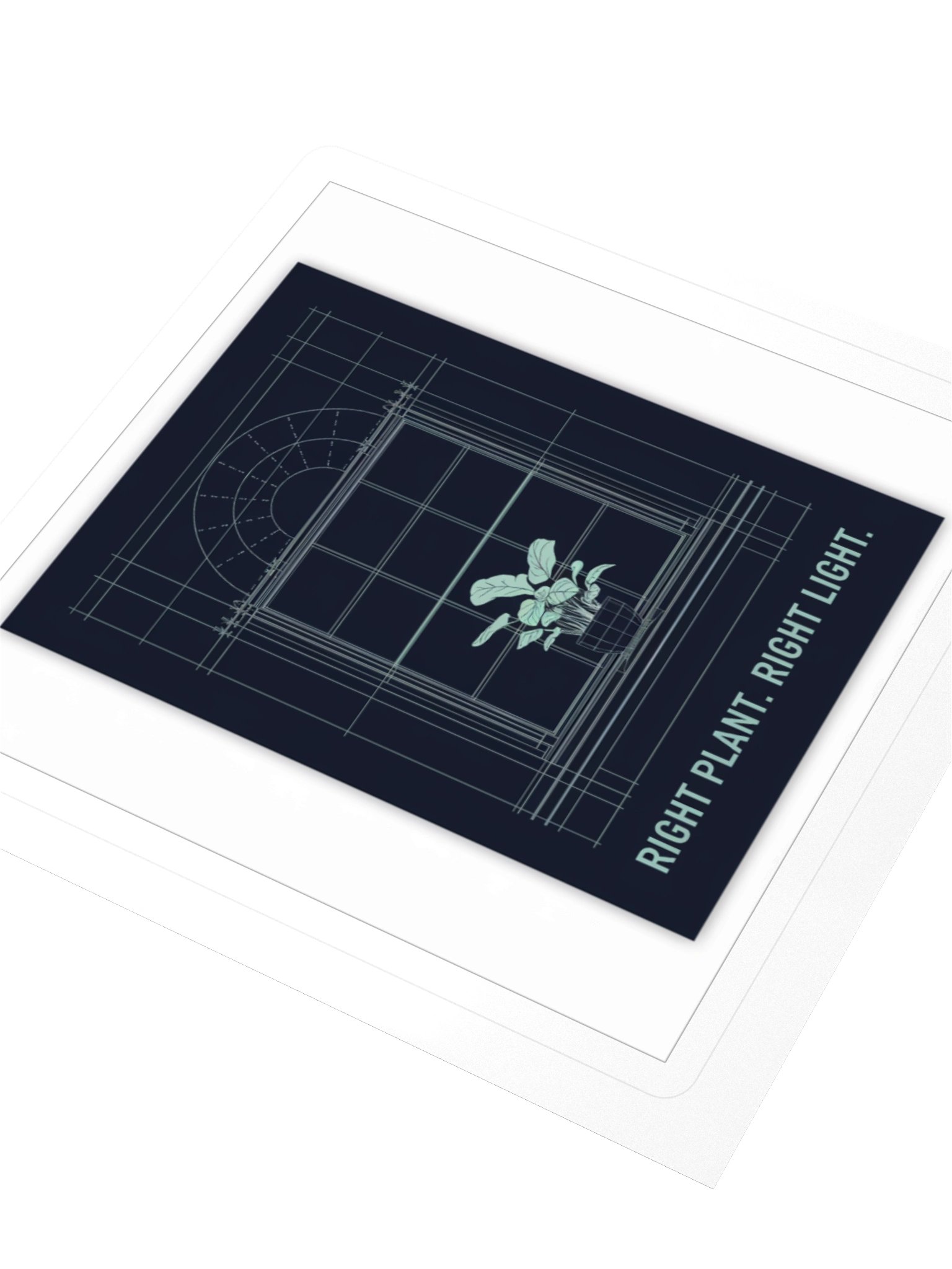 Right Plant. Right Light. — Sticker product image (3)