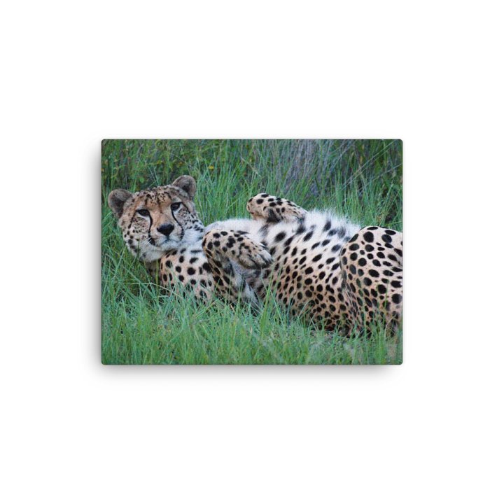 Cheetah Canvas Print product image (8)