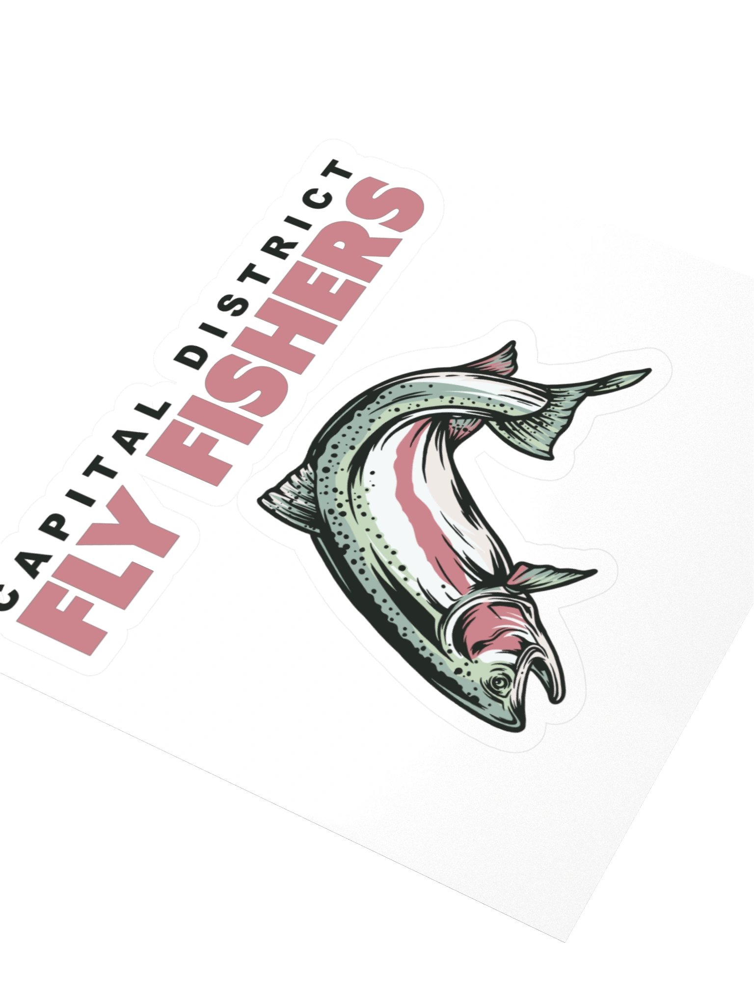CDFF Sticker - Rainbow Trout product image (3)
