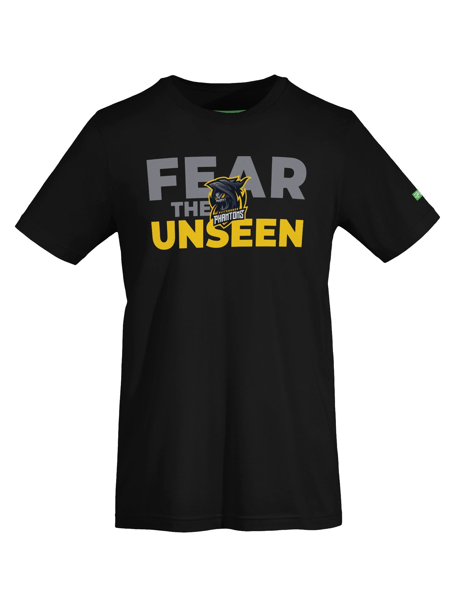 Pittsburgh Phantoms Unseen Slogan Series Tee product image (5)