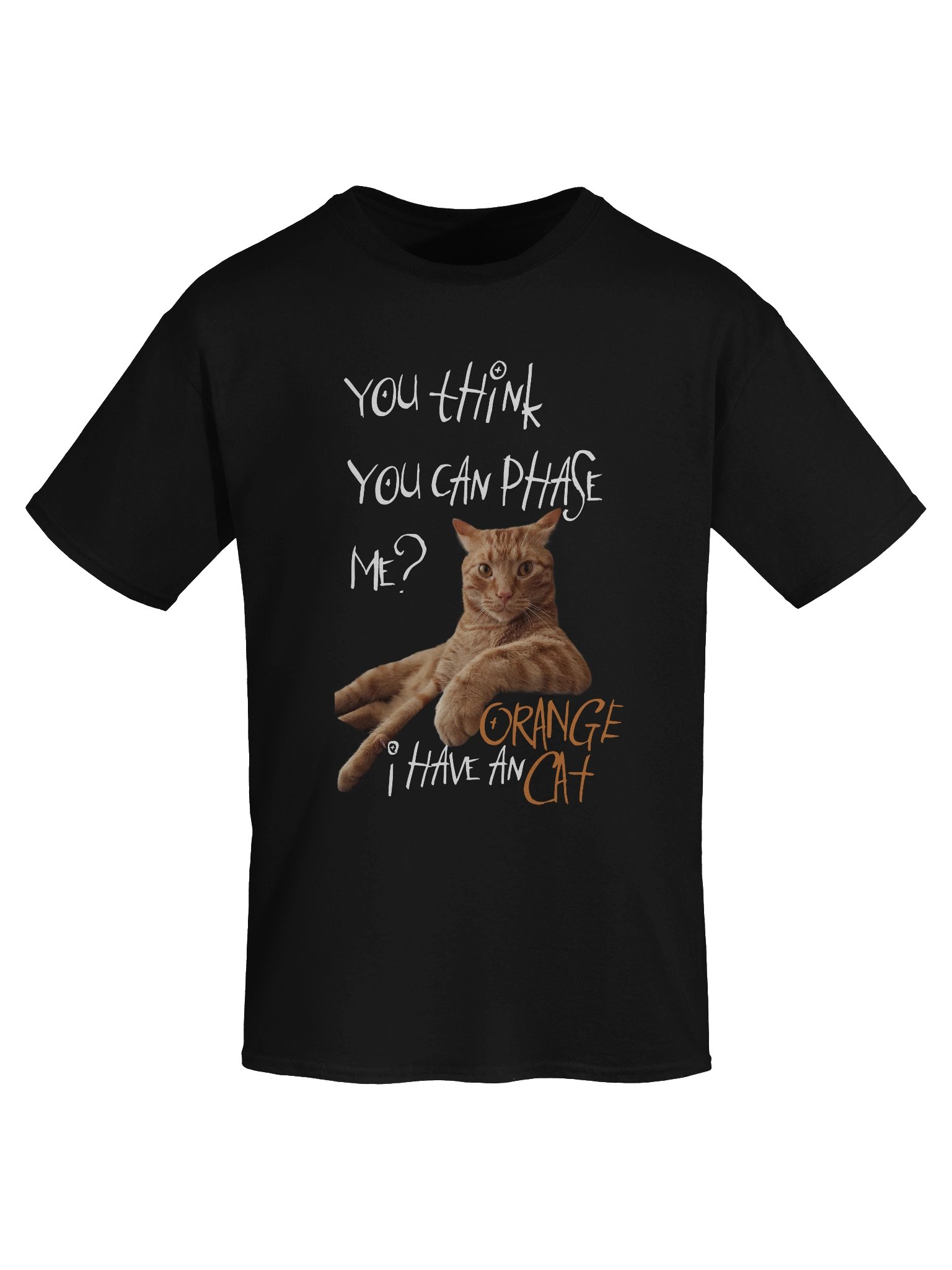 I HAVE AN ORANGE CAT TEE product image (55)