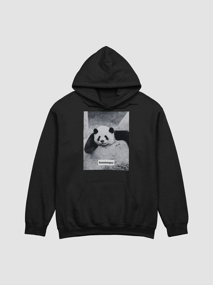 panda hoodie product image (1)