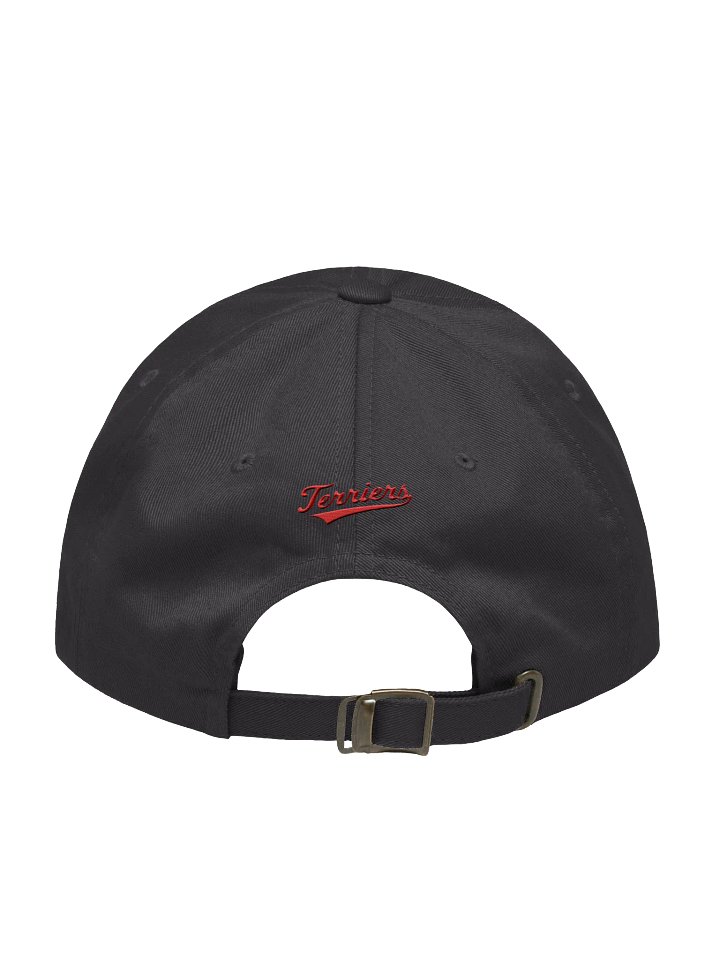 Galt Terriers Dad Hat product image (5)