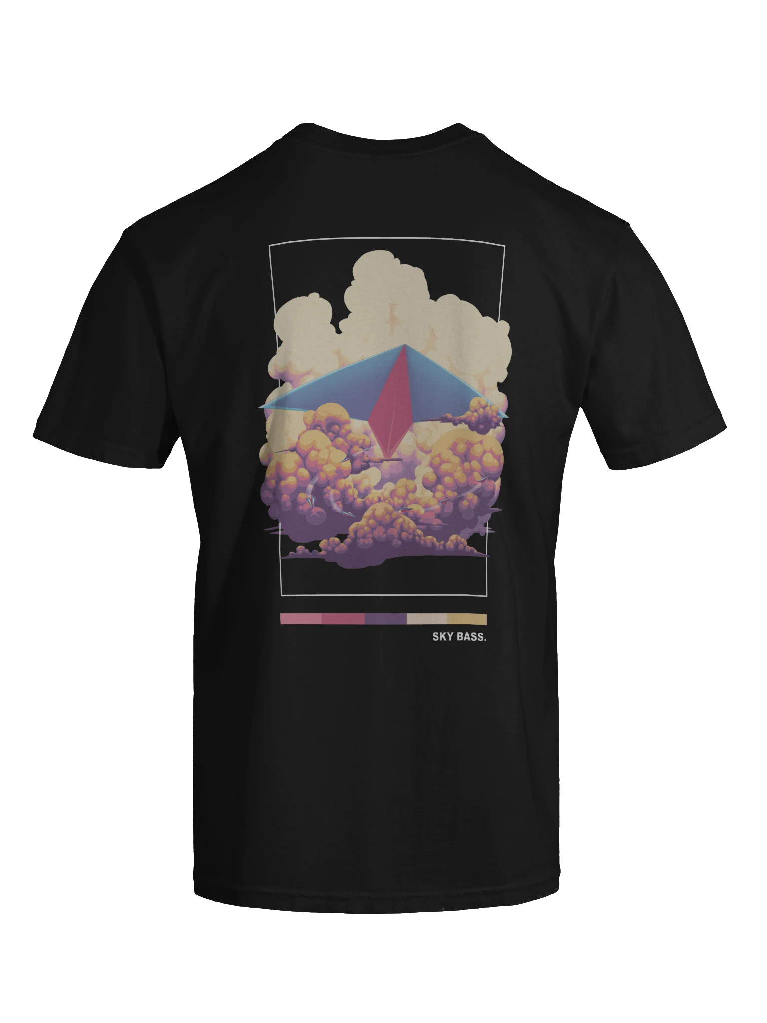 SKY BASS AIRPLANE BACKPRINT product image (9)