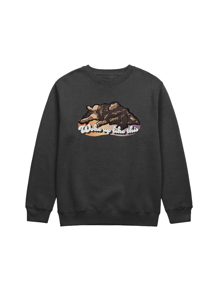 Woke Up Like Longboy - Sweatshirt product image (1)