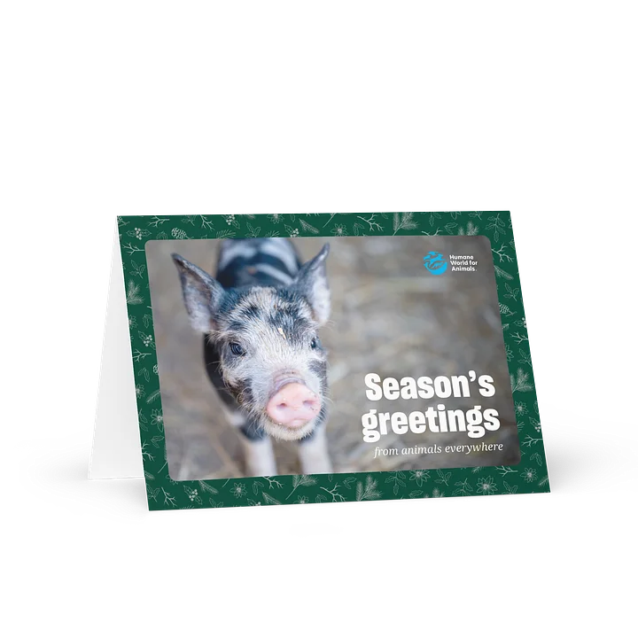 Holiday card - Pig design product image (1)