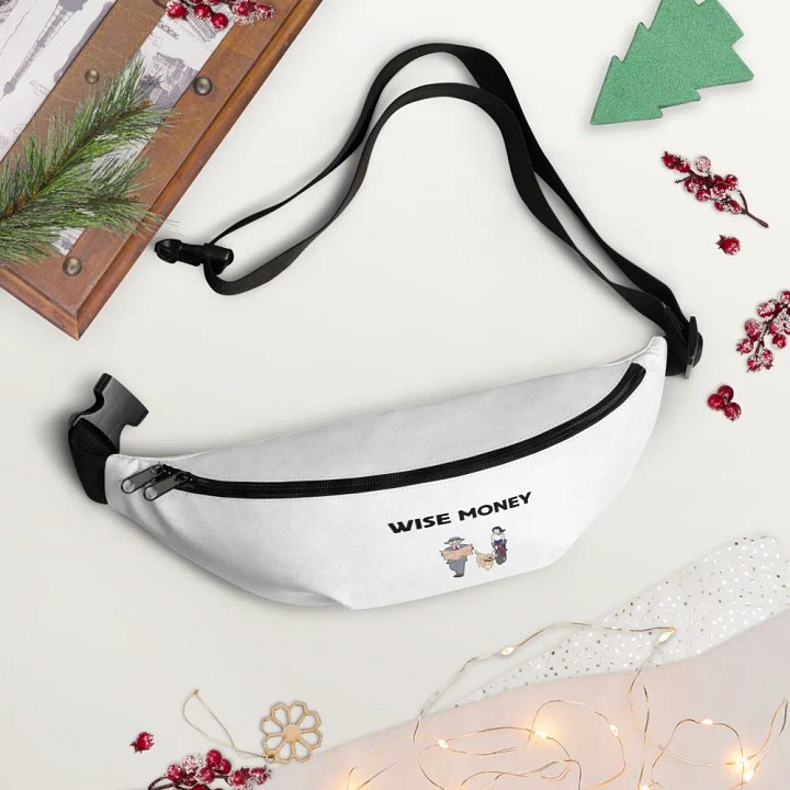 Wise Money Fanny Pack product image (1)