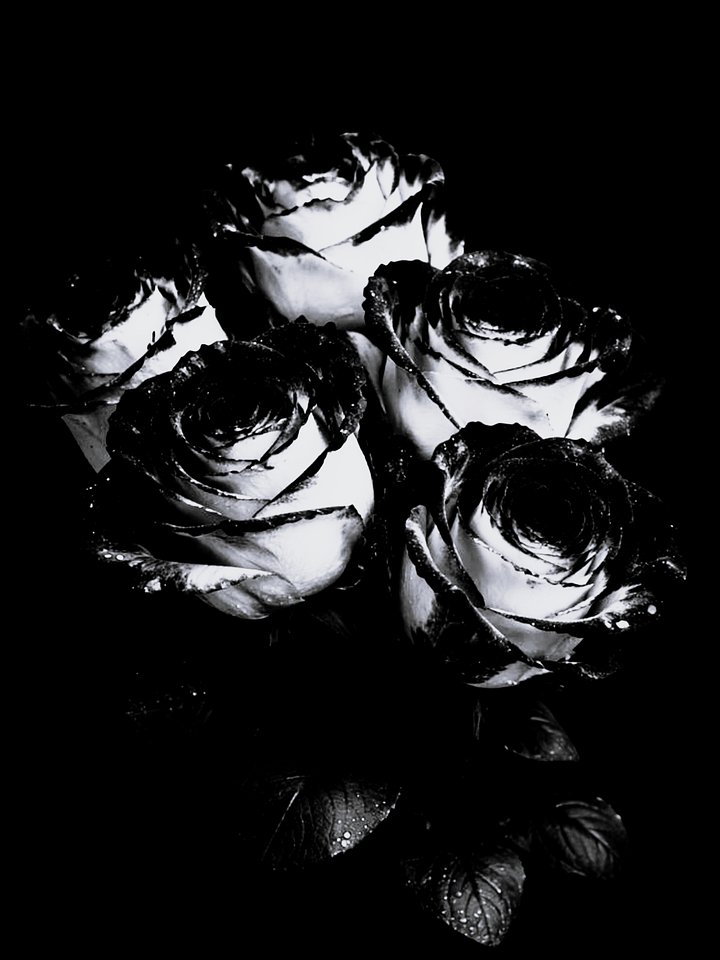 Nothing Stays Written product image (2)