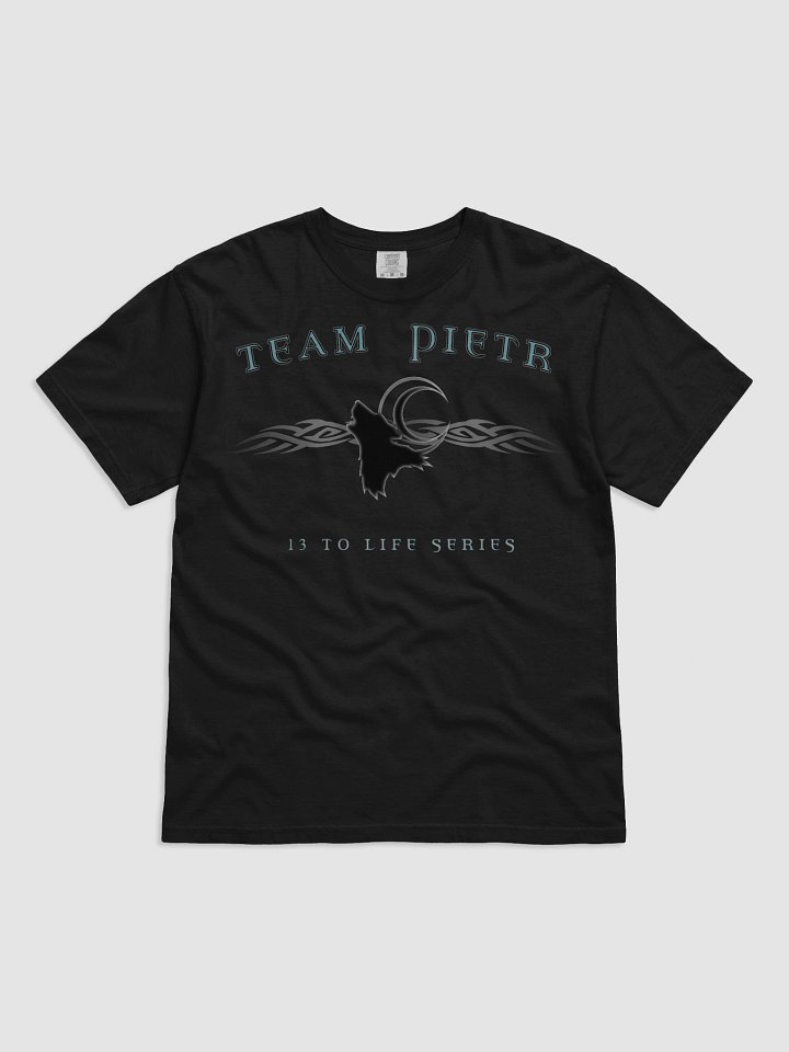 TEAM PIETR T-shirt— 13 TO LIFE series T-shirt product image (1)