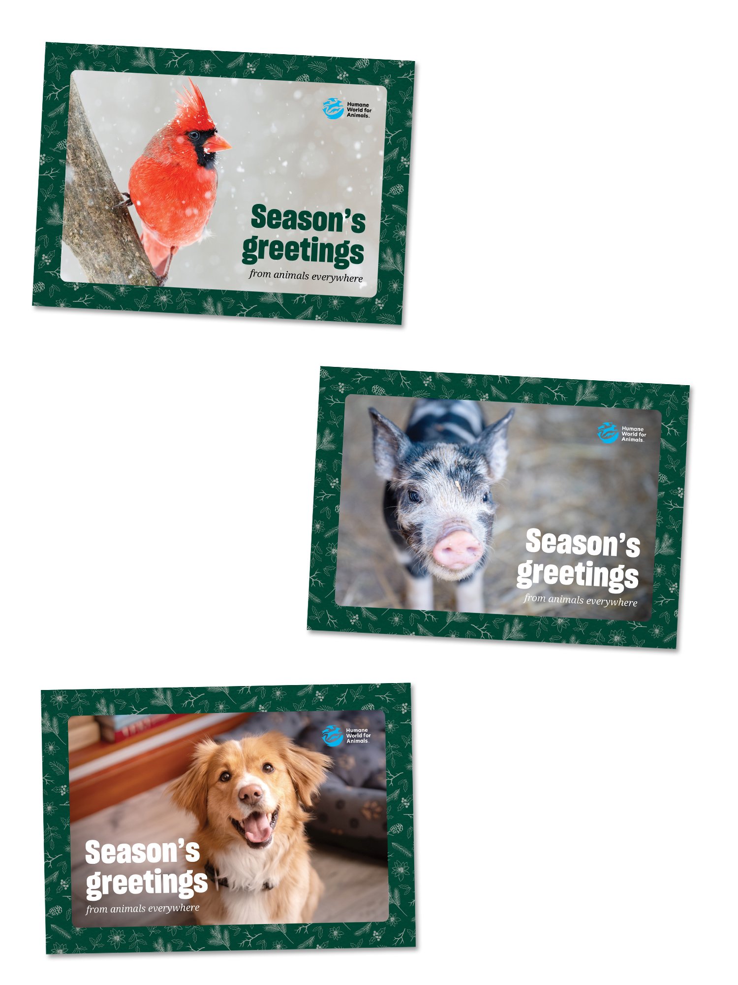 Holiday card bundle  product image (1)