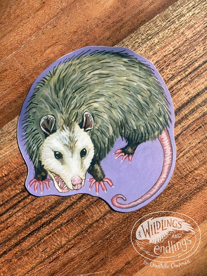 Opossum - art decal product image (1)
