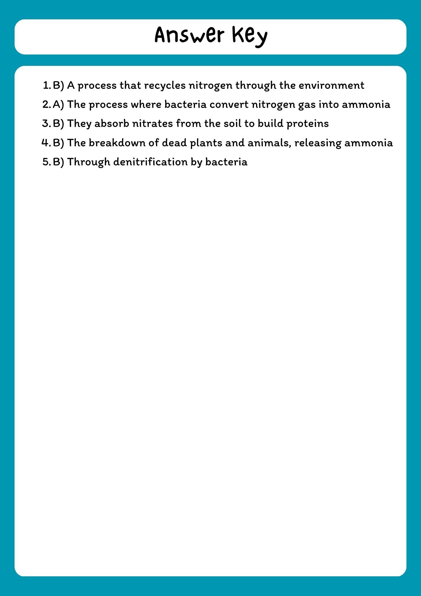 Nitrogen Cycle Reading Comprehension Passage & Questions product image (3)