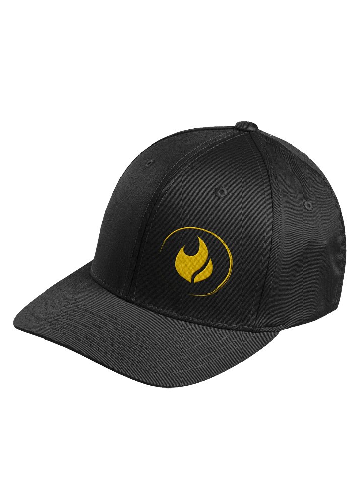 Chasing Fire GOLD ICON Logo Flexfit Cap product image (11)