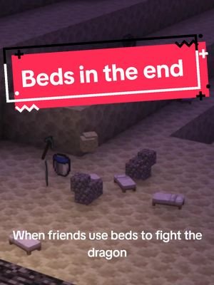 Friends don't let friends use beds in The End #fyp #minecraft #minecraftmemes #gaming #enderdragon #twitch 