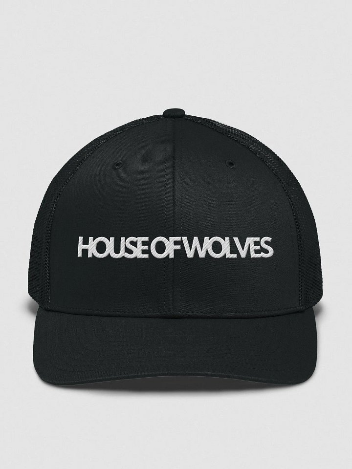 The Bassline Snapback product image (1)