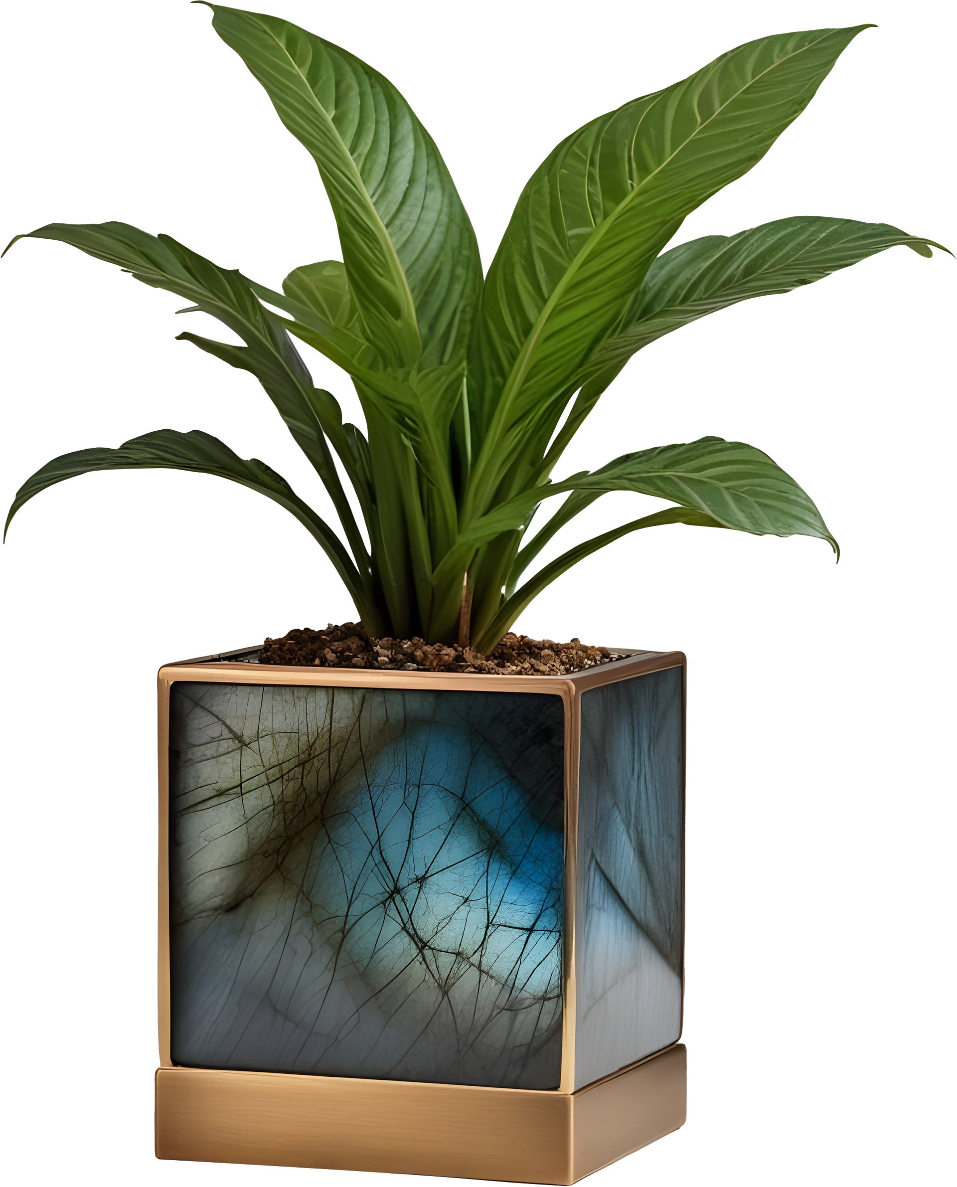 Stellar Luxe – Square Labradorite & Bronze Planter PNG product image (1)